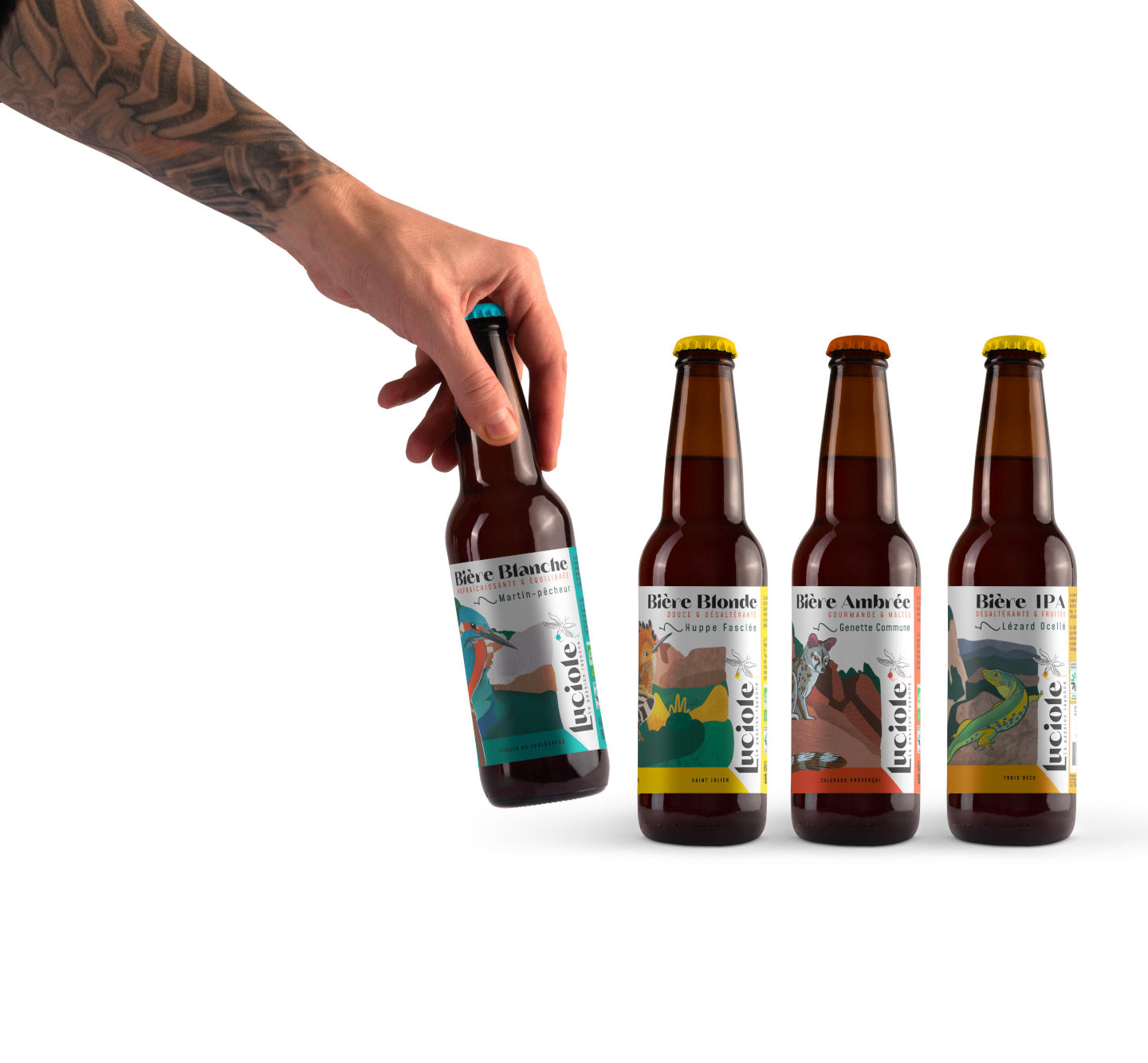 bivouak-biere-bio-de-la-drome-luciole-bieres-3