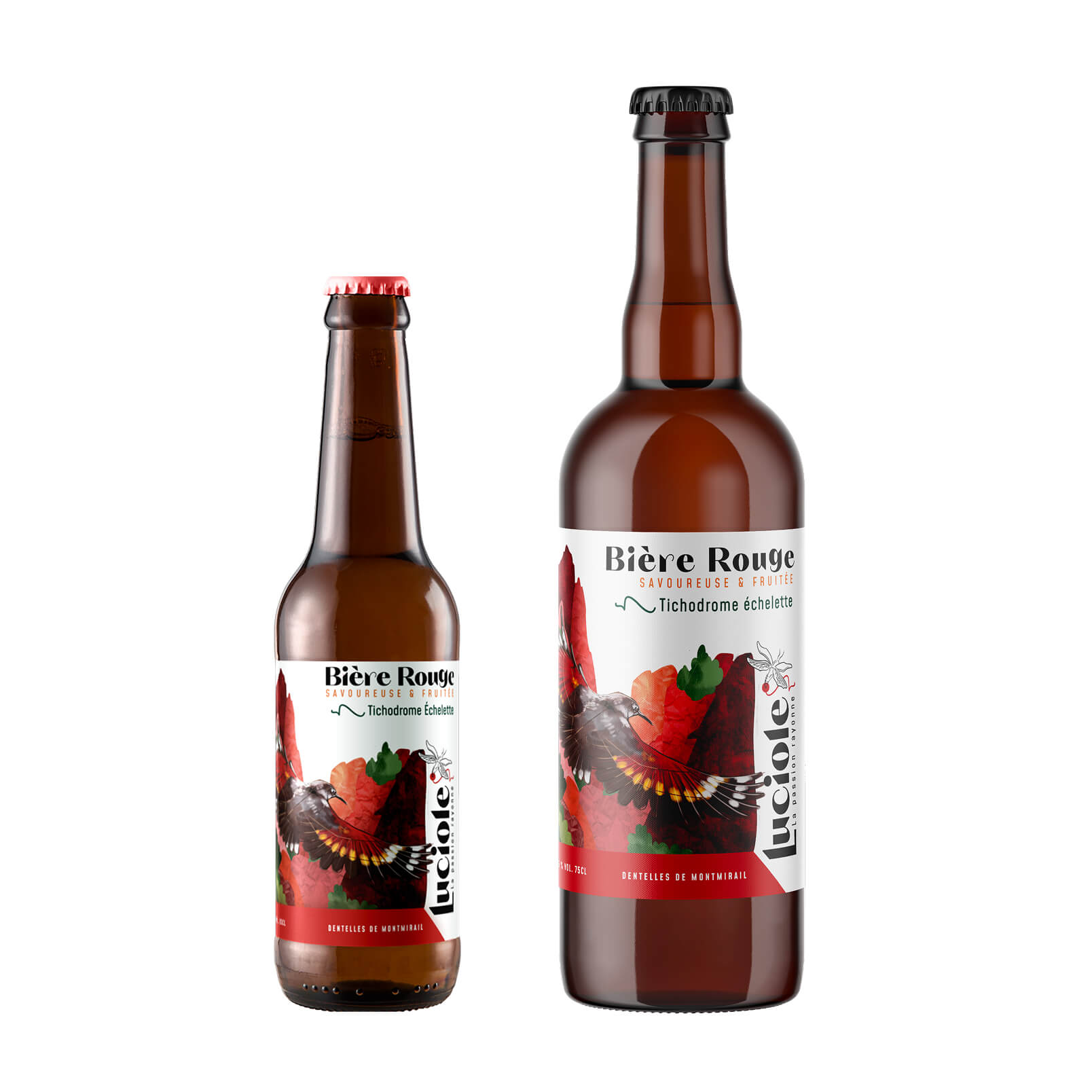 bivouak-brasserie-bio-artisanale-drome-luciole-tichodrome