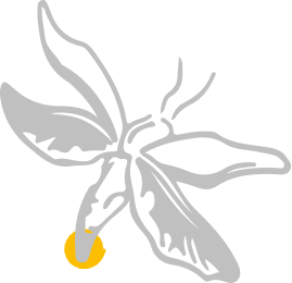 bivouak-brasserie-bio-drome-brasserie-luciole-logo3