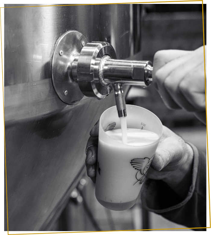 bivouak-brasserie-bio-drome-brasserie-notre-histoire-artisanale